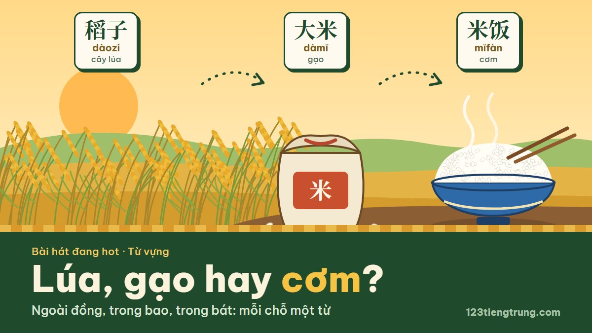 Lúa, gạo, cơm tiếng Trung: đừng gọi bát cơm là 米