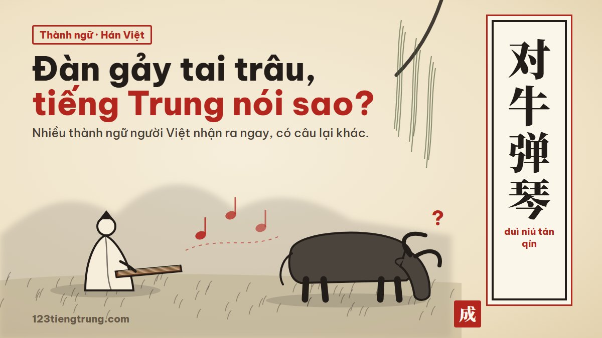 Từ “Thầy Dùi” đến 成语: thành ngữ tiếng Trung đọc Hán Việt